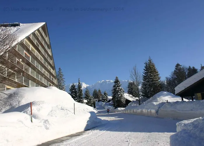 In - Steiermark 36988 *